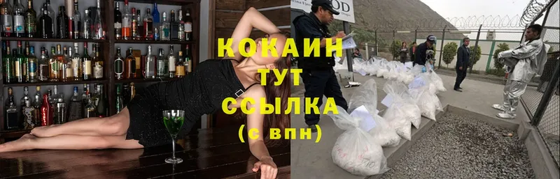 КОКАИН Fish Scale  Вуктыл 