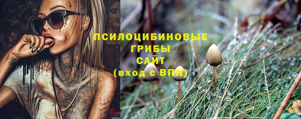 первитин Балахна