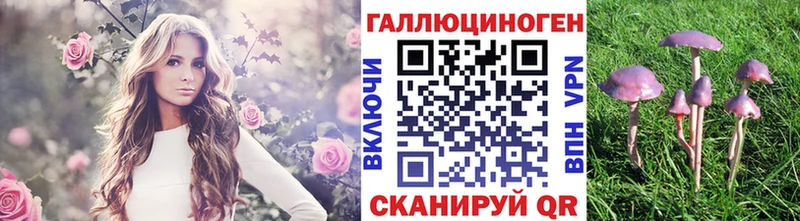 Псилоцибиновые грибы прущие грибы  Вуктыл 